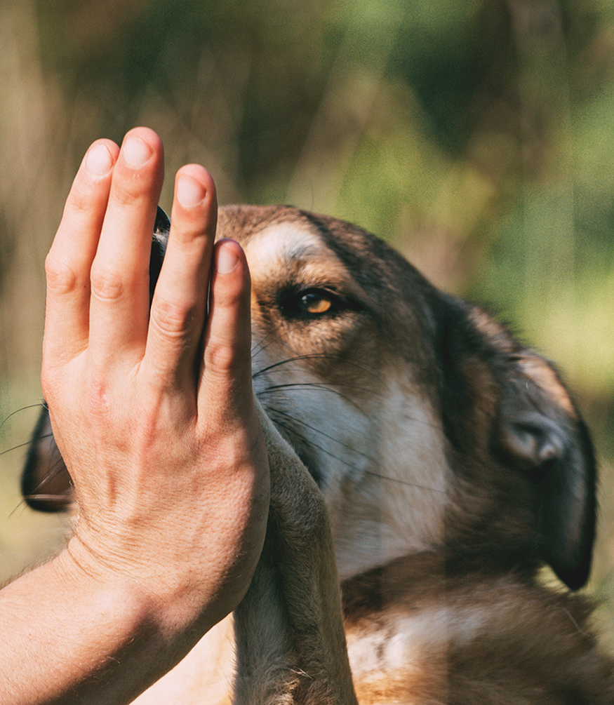 Вам будут благодарны